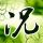 越狱第四季